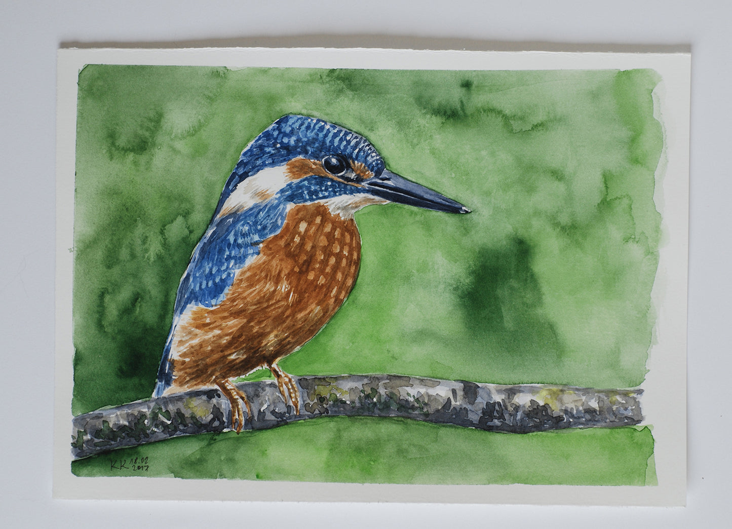 Watercolor painting of a kingfisher on a green background