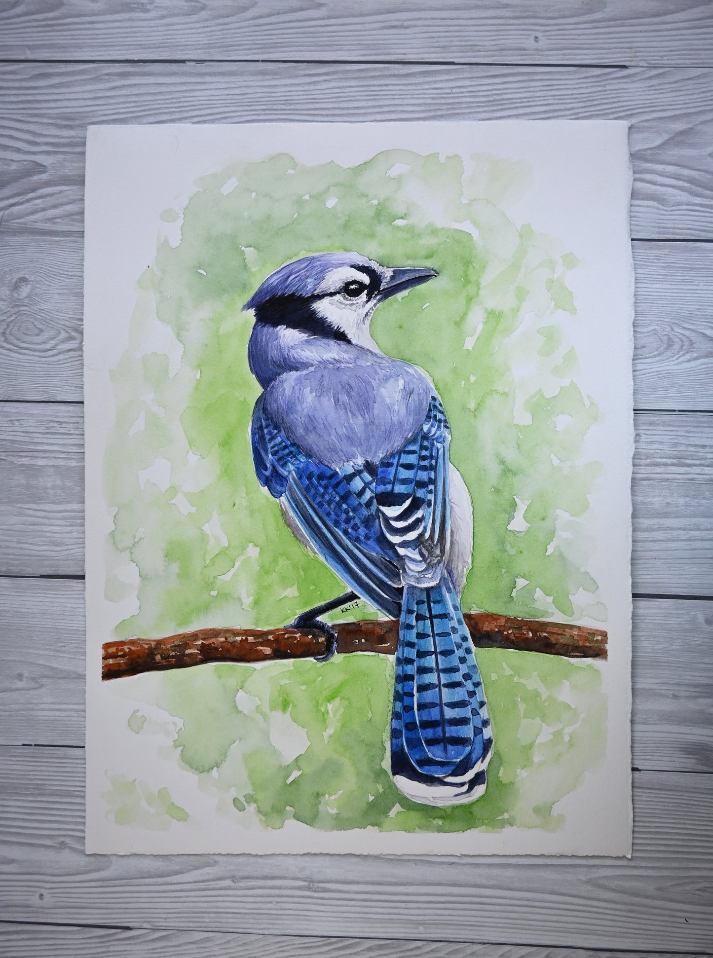 Watercolor painting of a blue jay on a branch with a green background