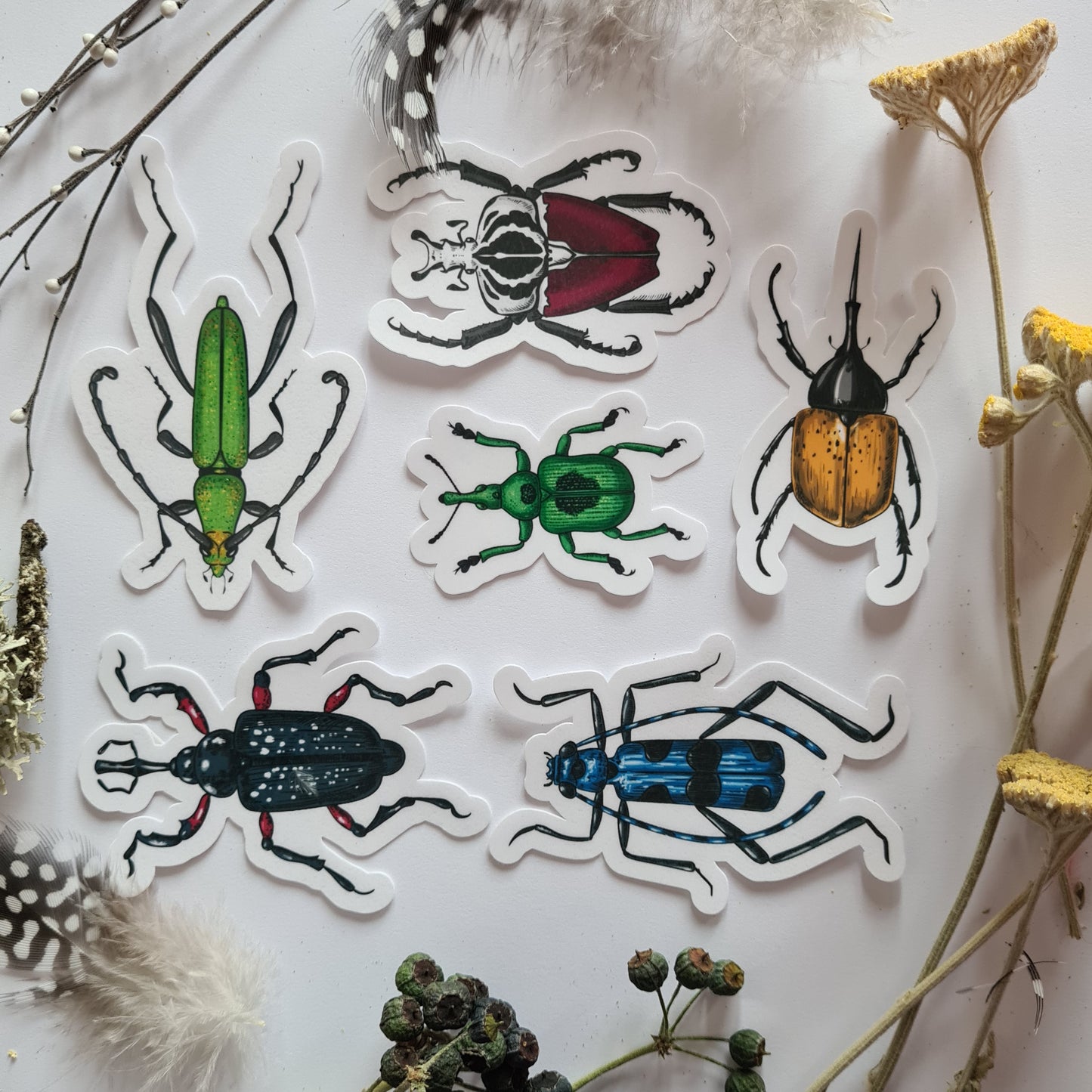 Beetles journal stickers