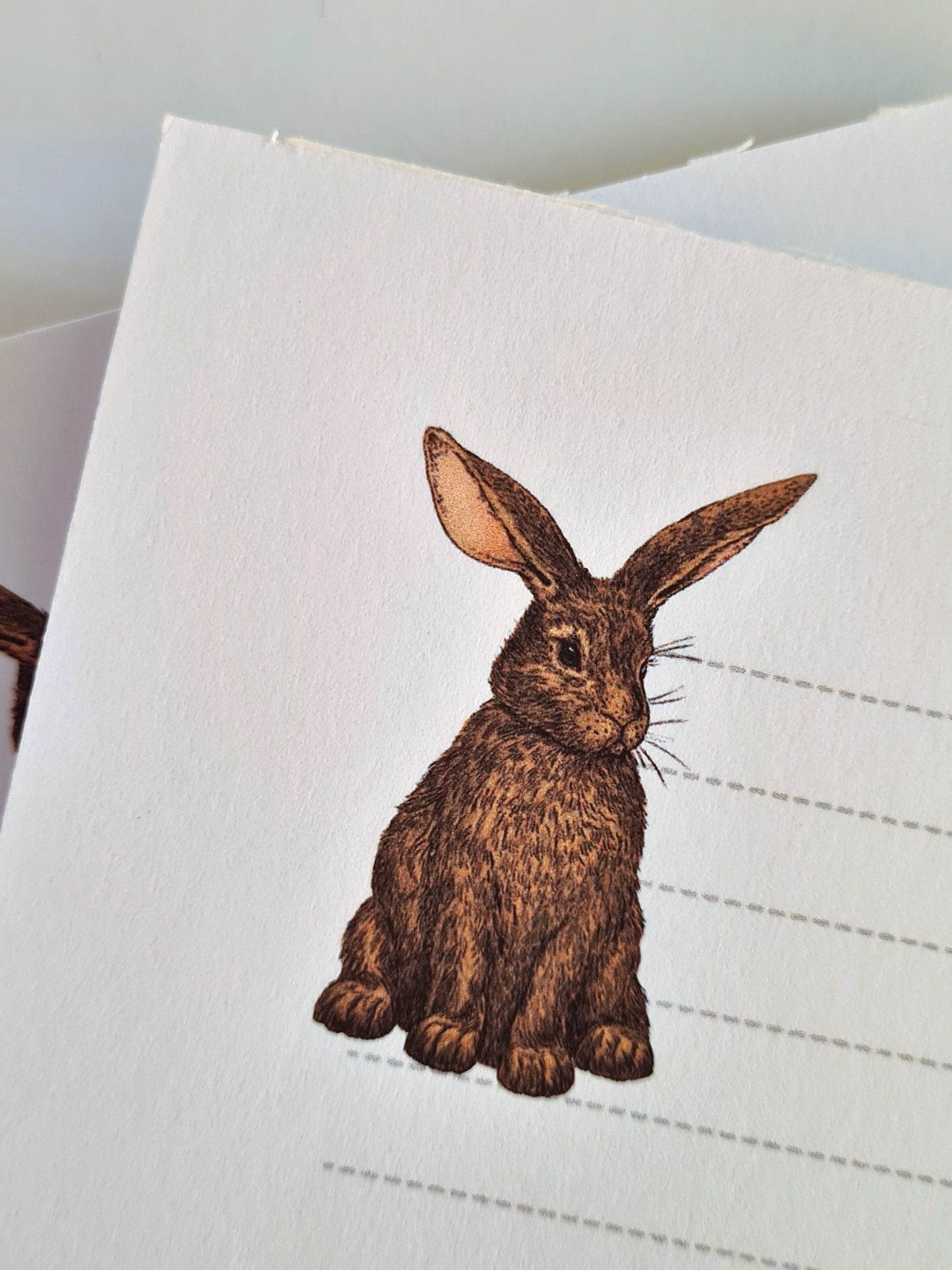 photo featuring a notepad illustrated with 2 rabbits and lined space for notes, corner close up