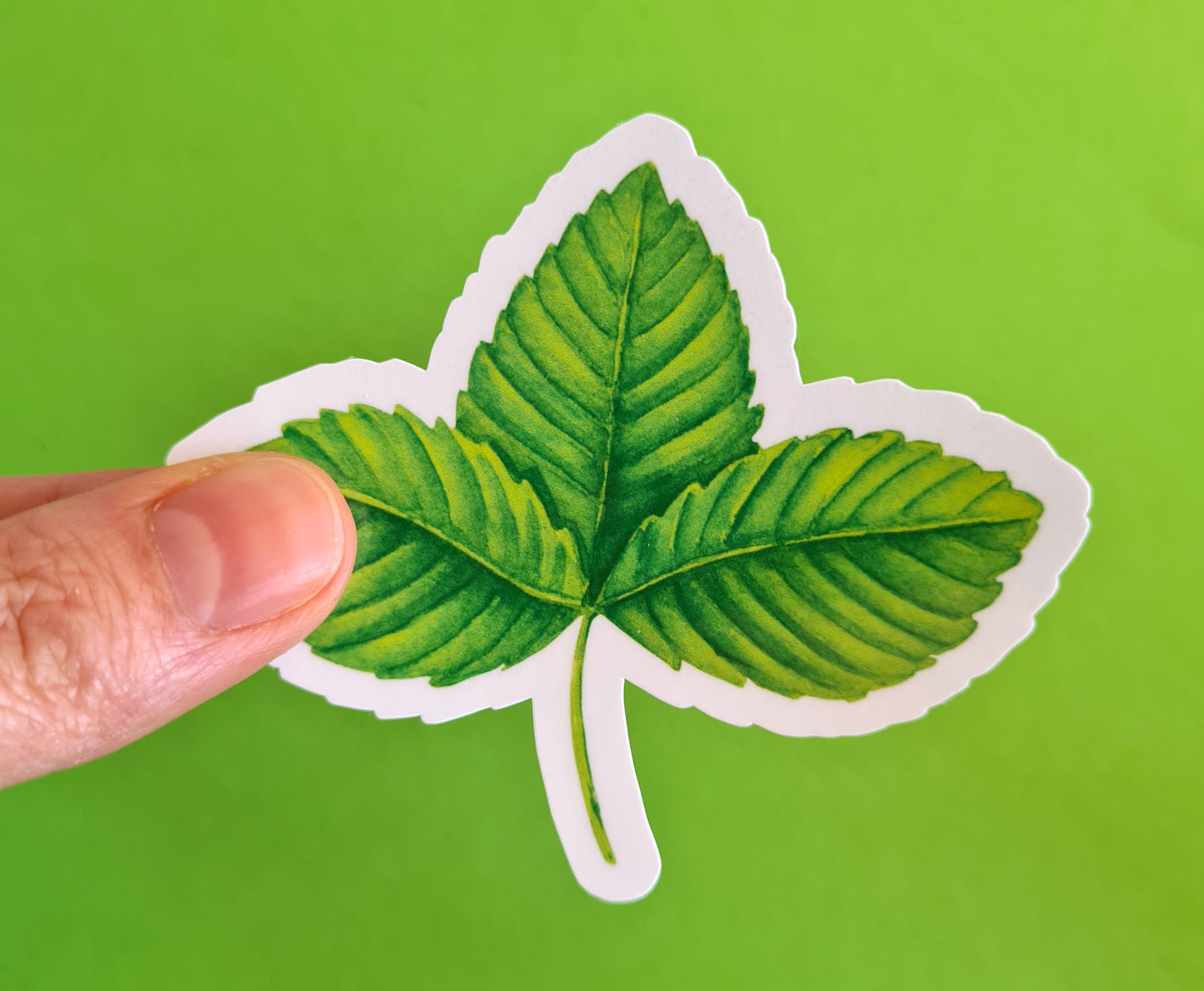 photo of a sticker featuring a strawberry leaf painted with watercolors