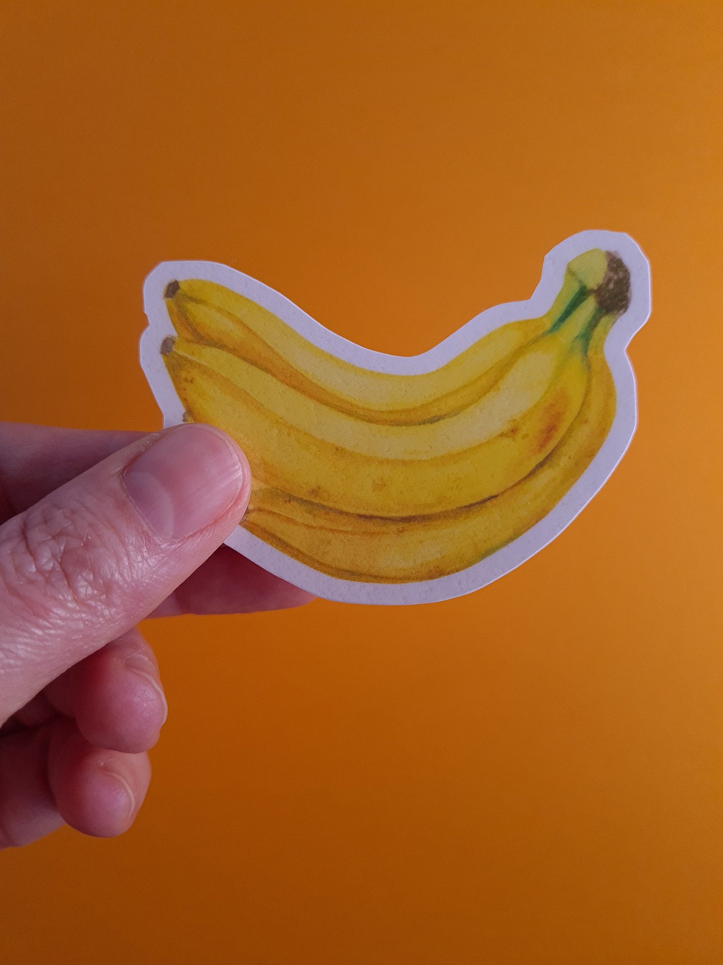 photo of a laminated journal sticker with banana illustration print
