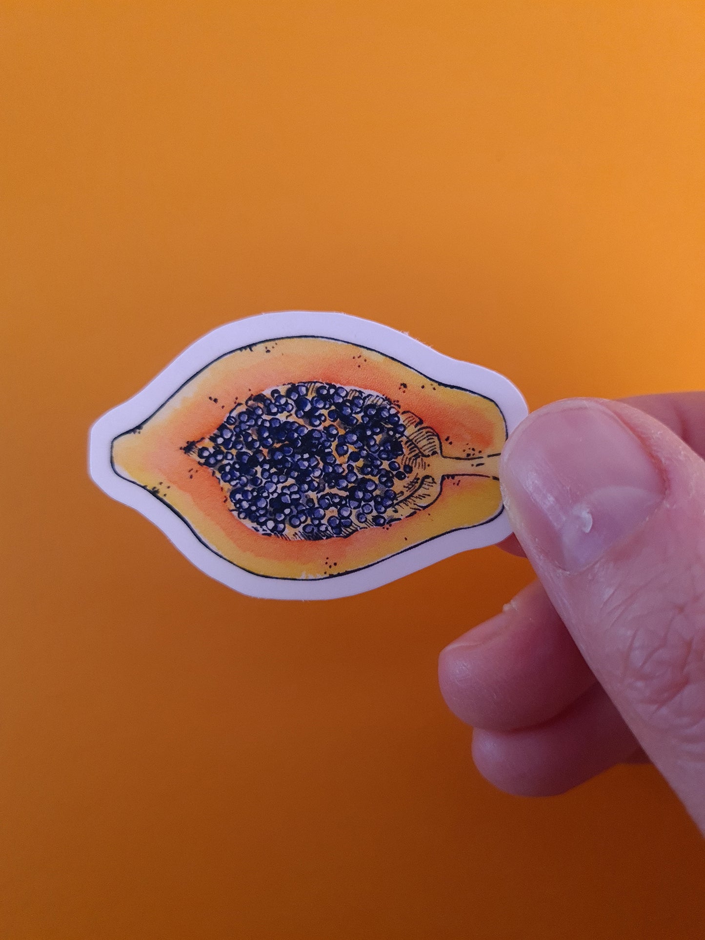 photo of a laminated journal sticker with papaya slice illustration print