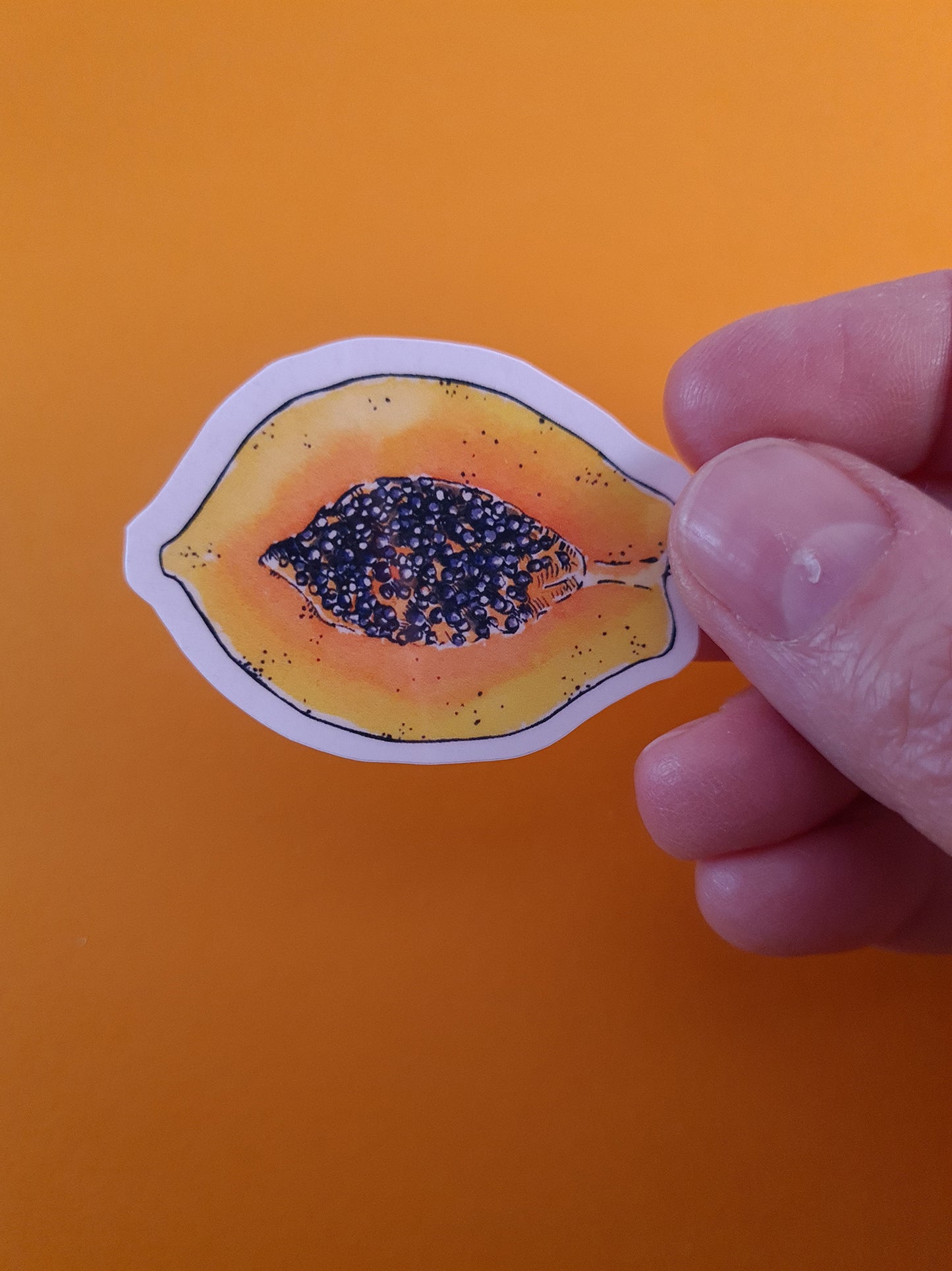 photo of a laminated journal sticker with papaya slice illustration print