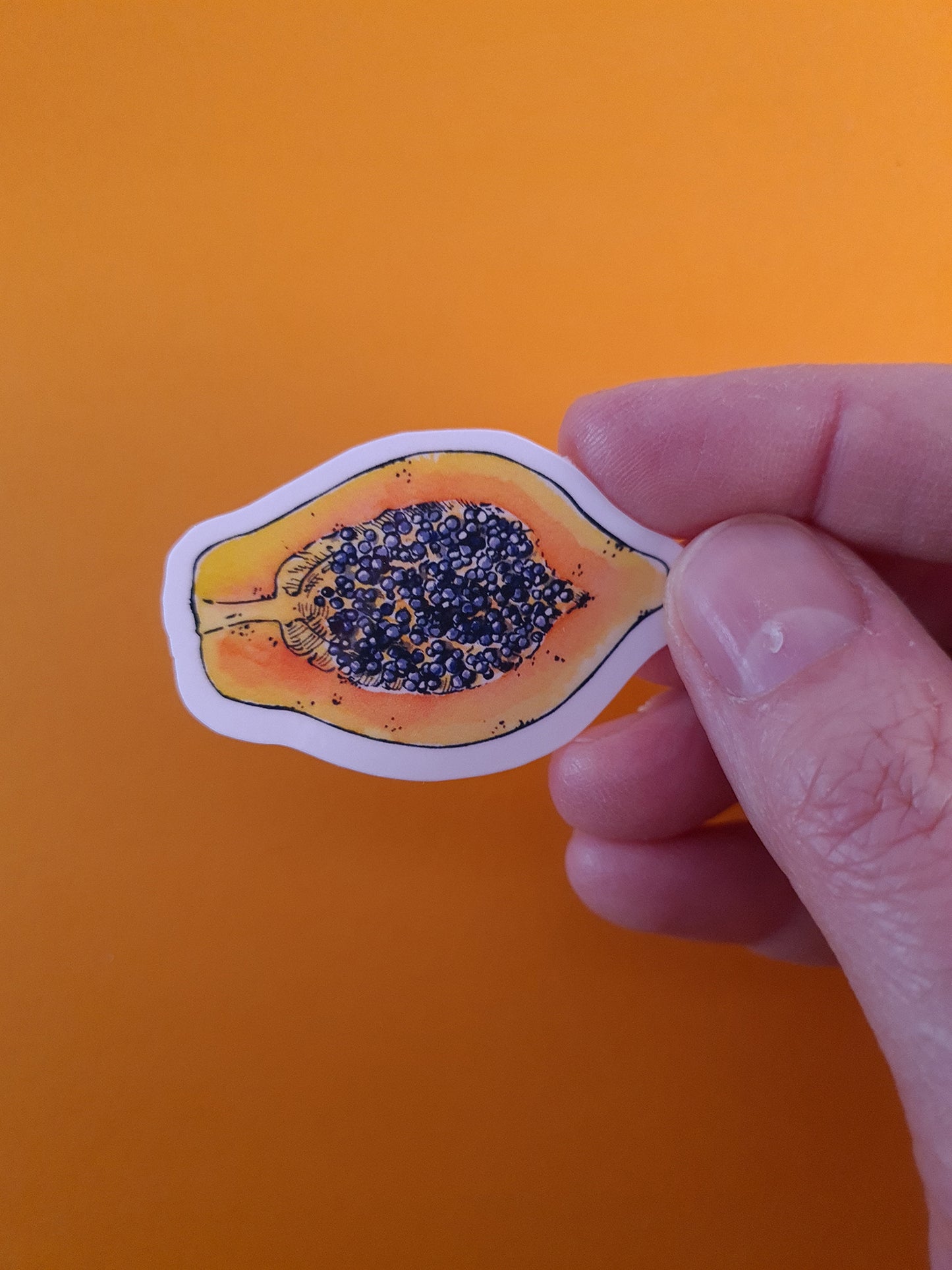 photo of a laminated journal sticker with papaya slice illustration print