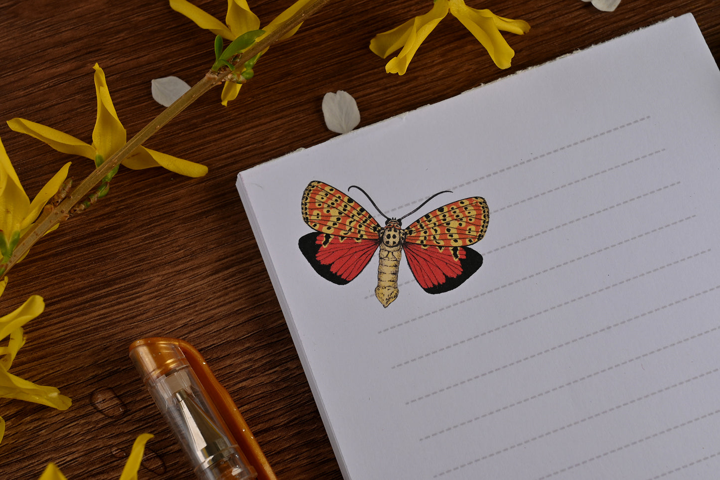 photo featuring a notepad illustrated with 2 moths
