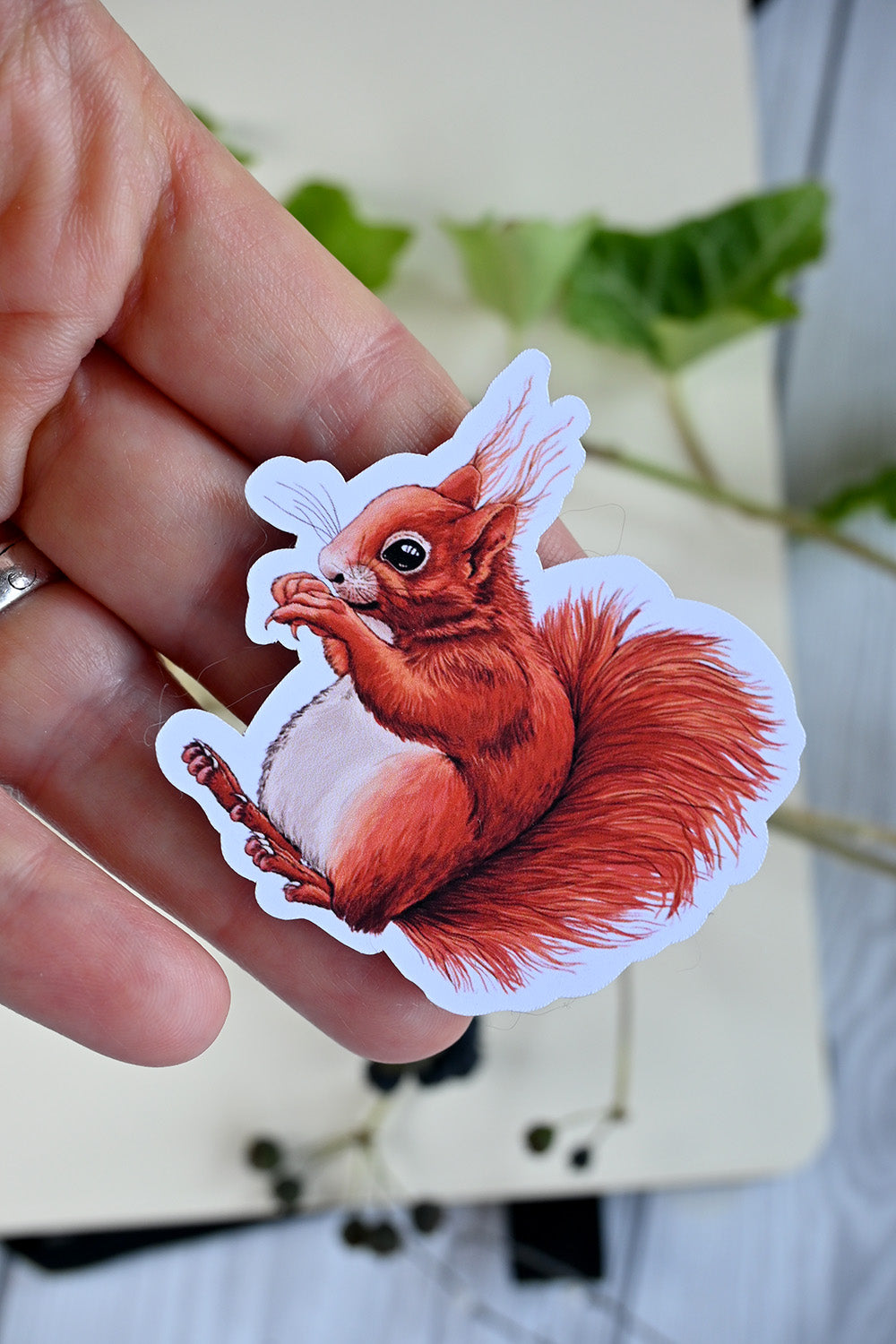 photo of a vinyl sticker featuring squrrel painting