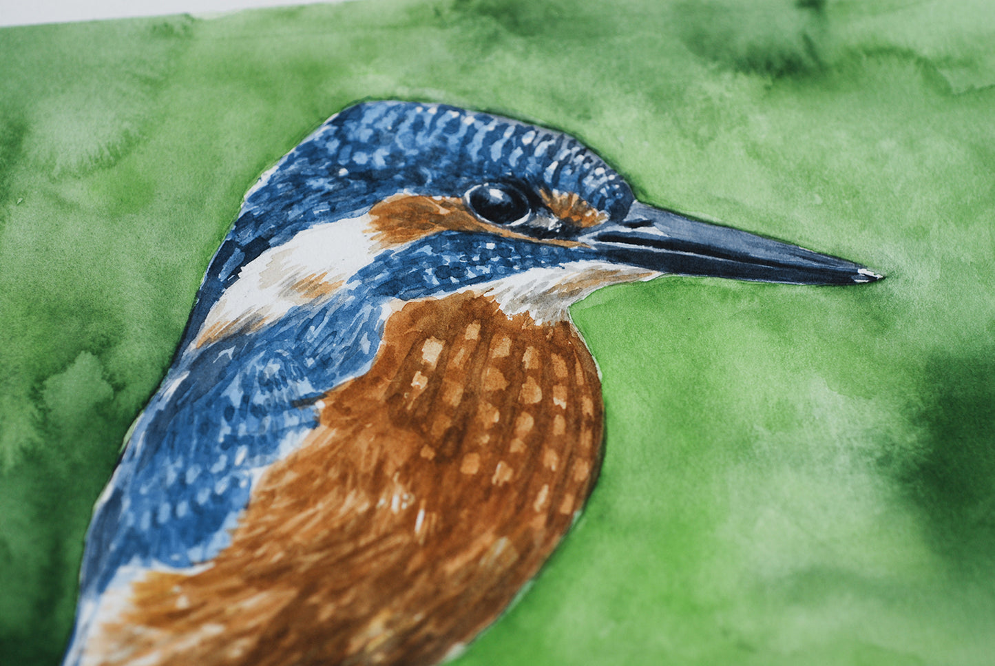 Artistic depiction of a kingfisher bird on a green background, close up