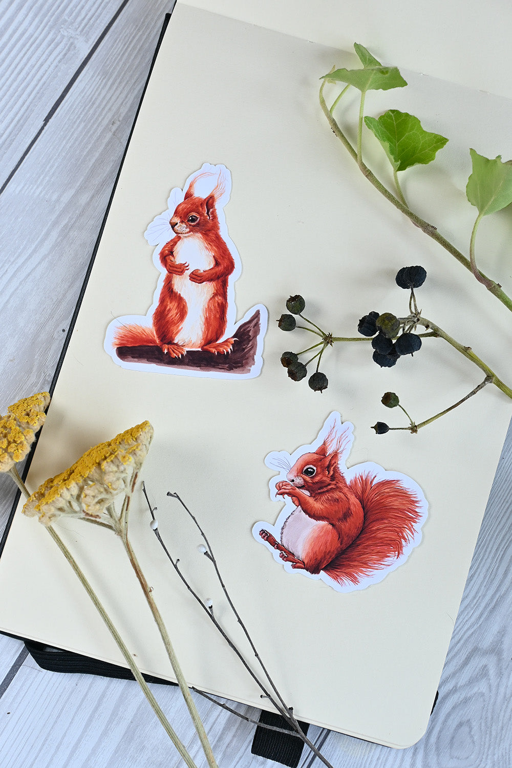 photo of 2 vinyl stickers featuring squrrel paintings