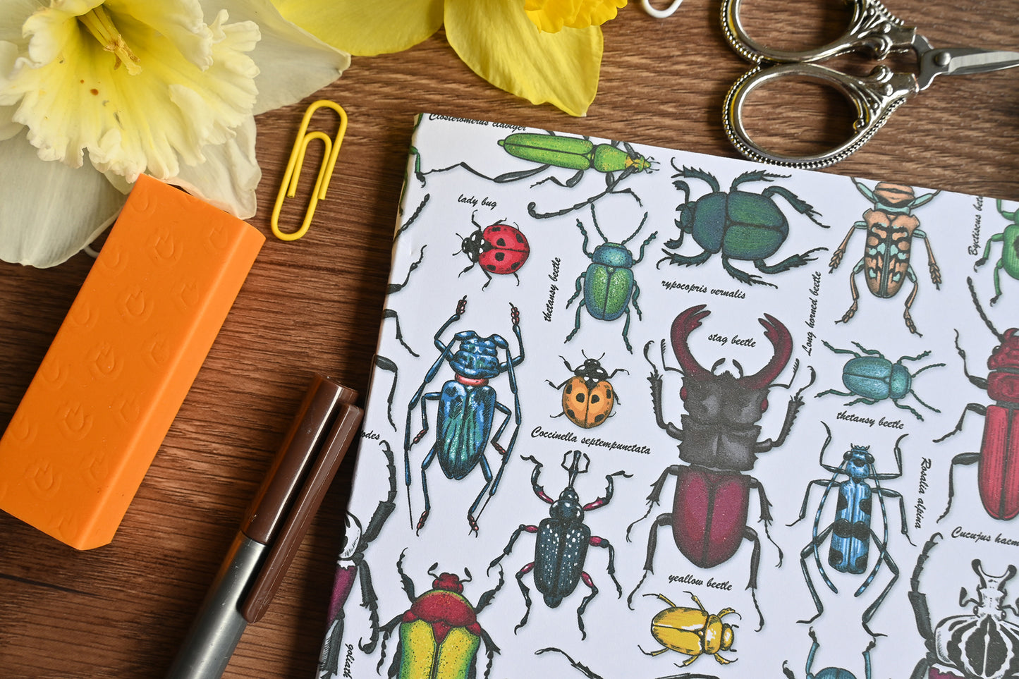 photo of hand-made notebook with hand-painted Beetles pattern print on the cover