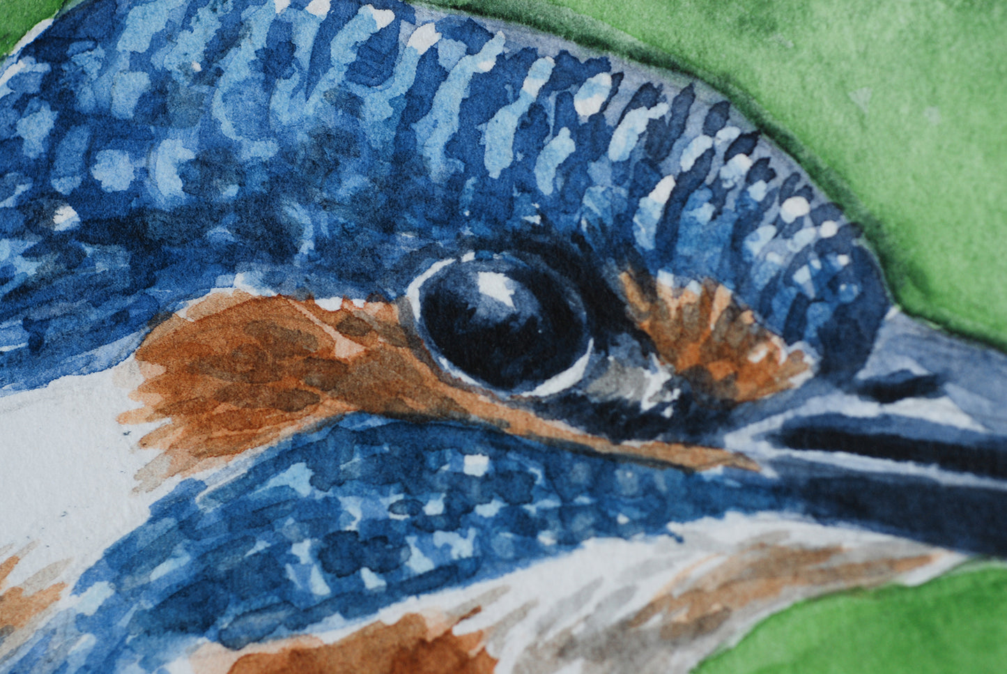 Close-up of a watercolor painting of a bird's head with blue, brown, and white colors.