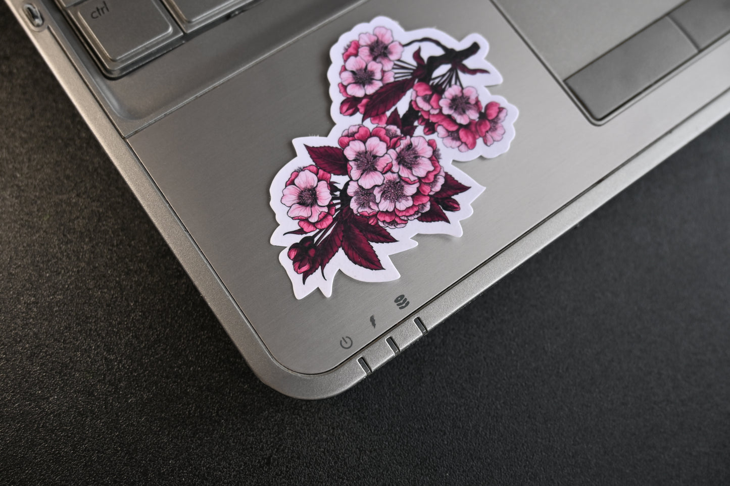 photo featuring illustrated sticker cherry blossom branch