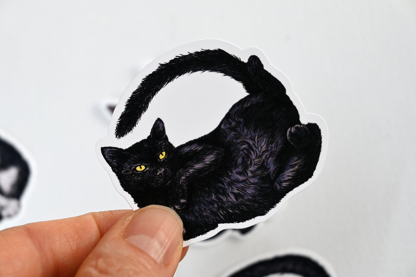 Black cat sticker held by a hand with a white background
