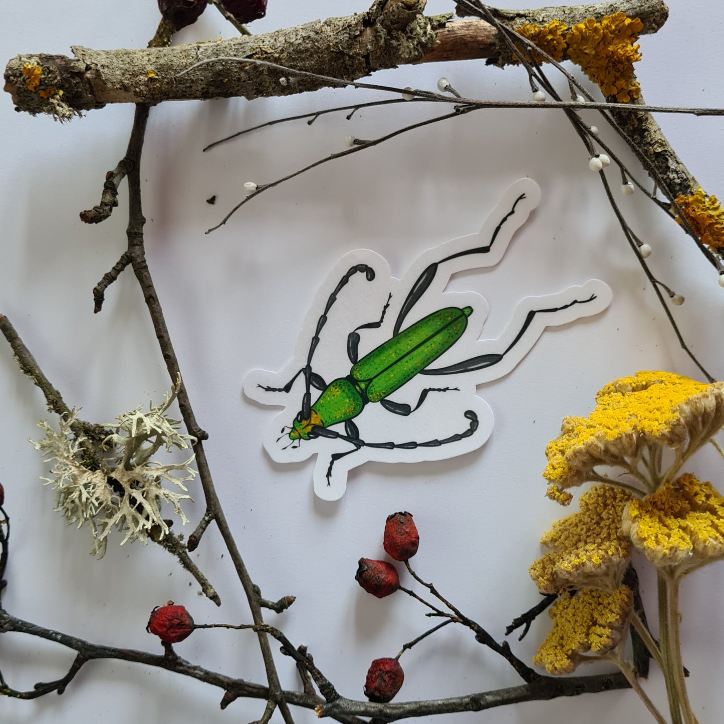 Beetles journal stickers