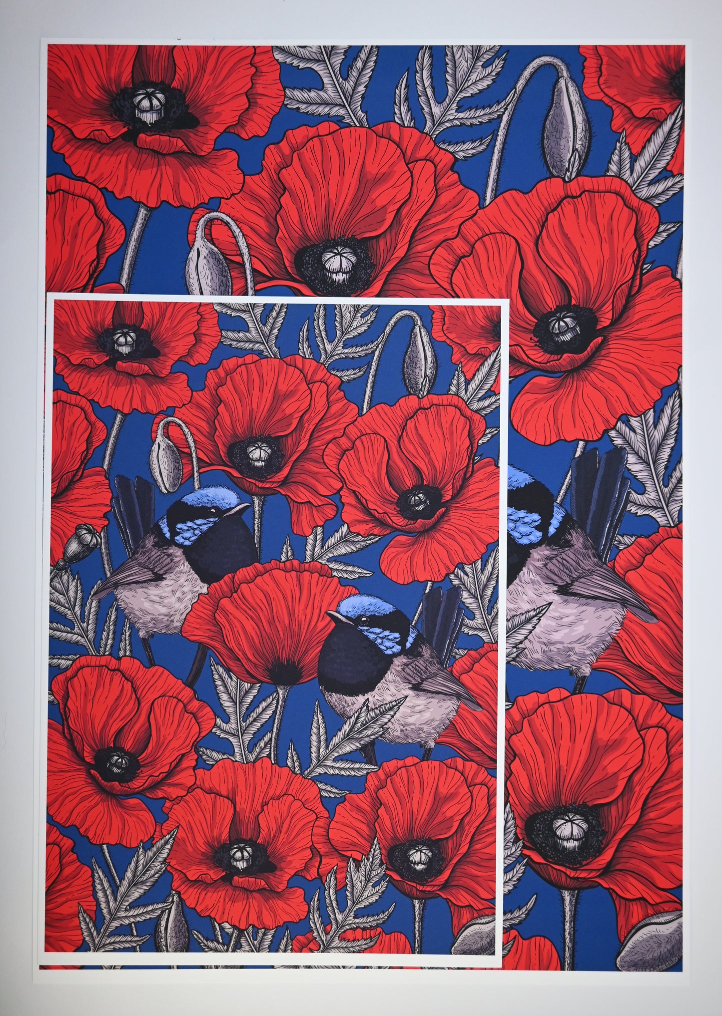 photo of Red poppies and fairy wrens, A3 and A4