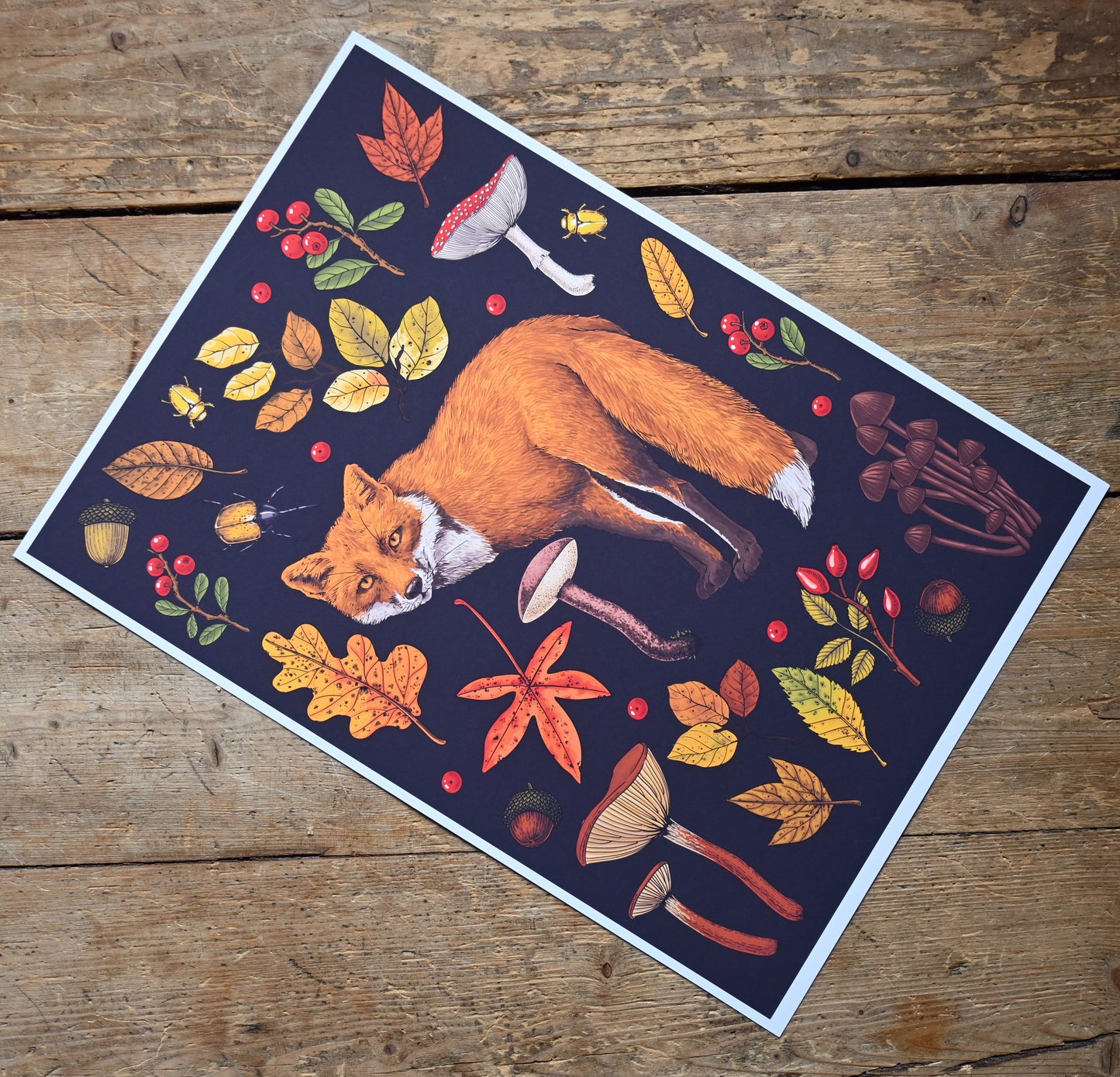 photo of Autumn fox, featuring red fox , autumnal flora, fallen leaves, mushrooms, bugs