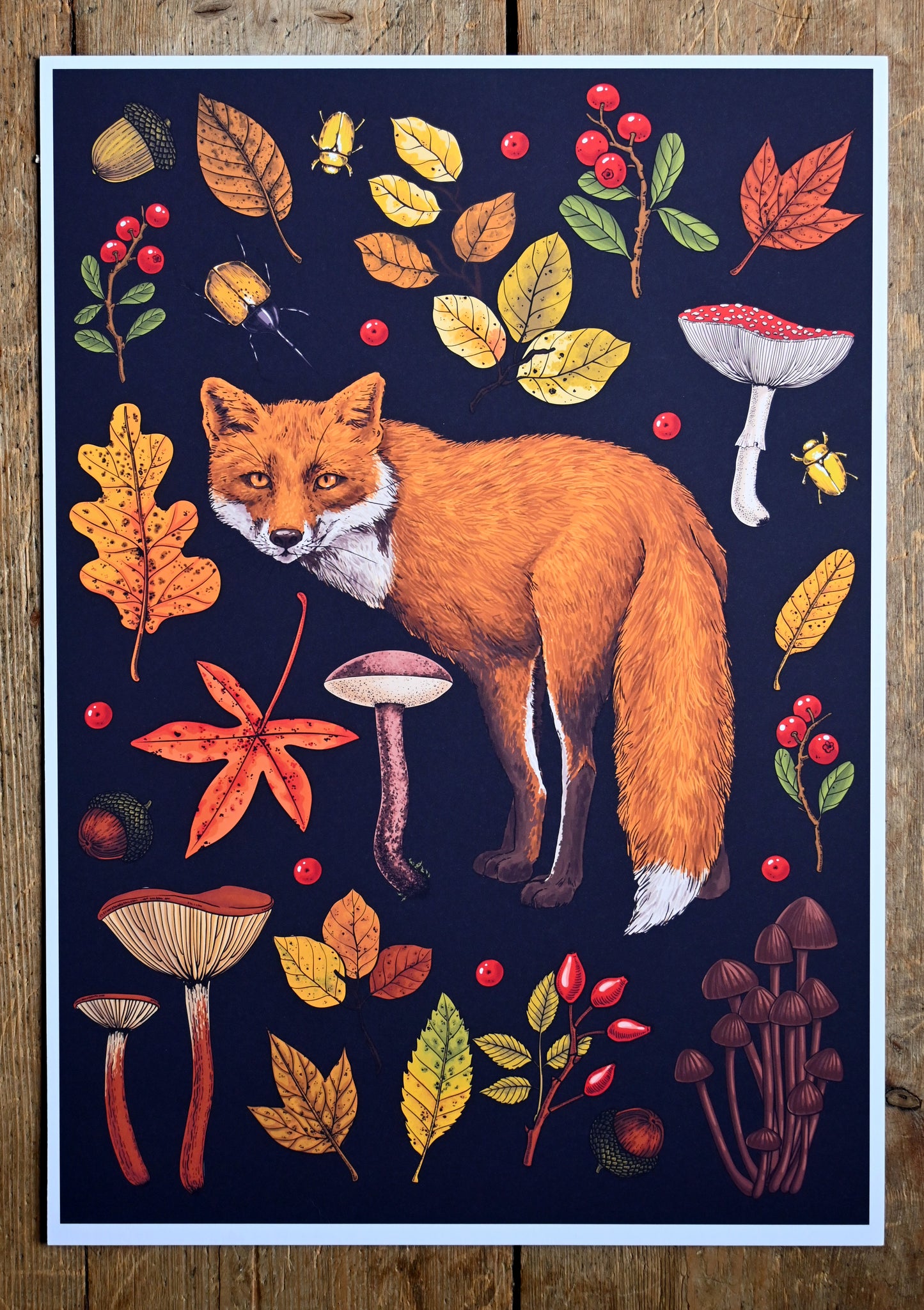 photo of Autumn fox, featuring red fox , autumnal flora, fallen leaves, mushrooms, bugs