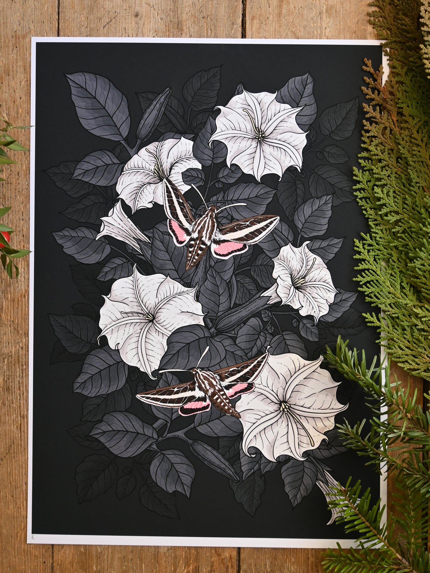 photo of a giclee print of Moonflowers and moths