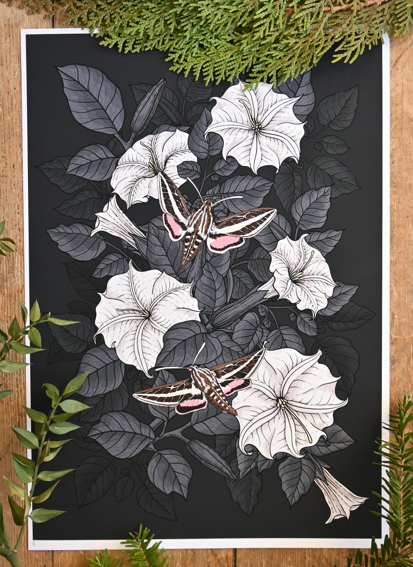 photo of a giclee print of Moonflowers and moths