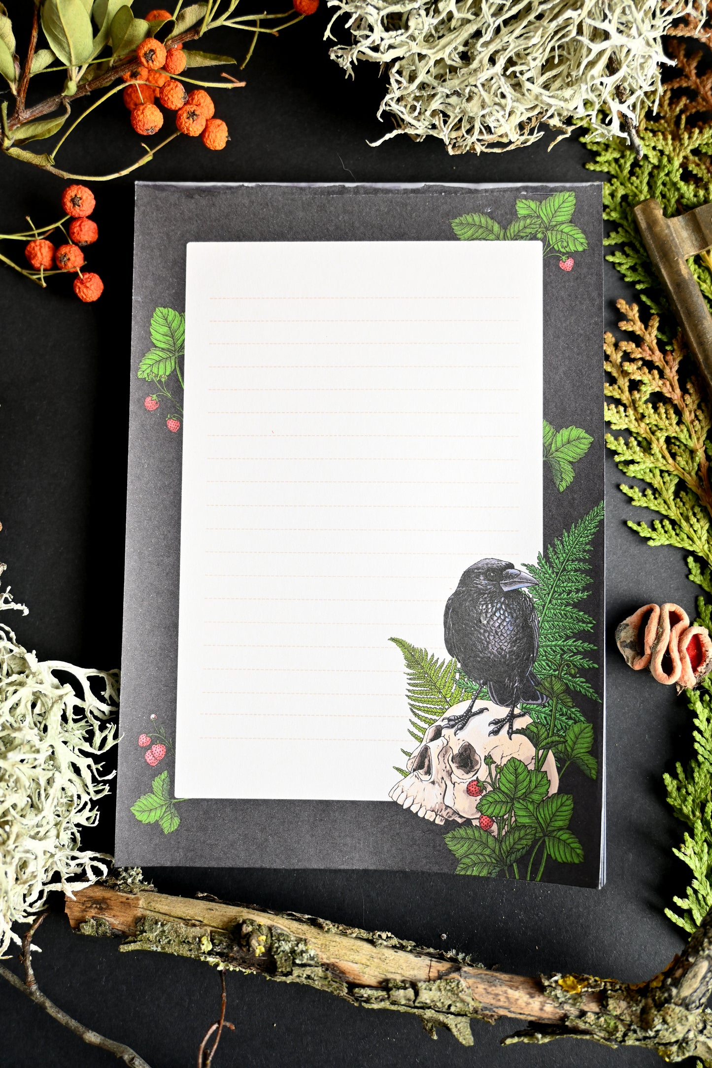 photo featuring a notepad illustrated with Raven and skull