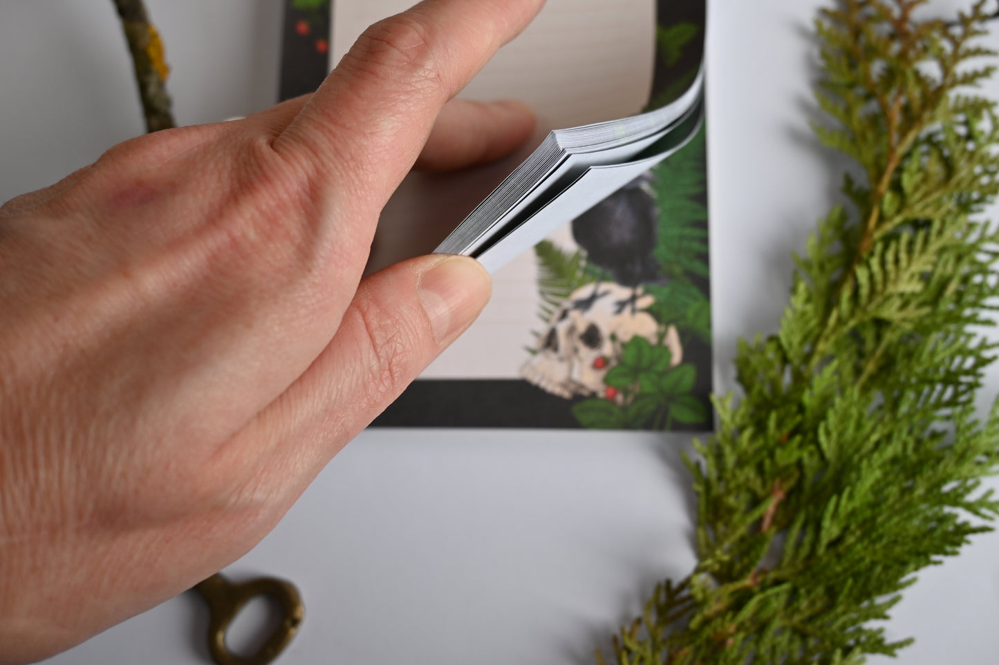 photo featuring a notepad illustrated with Raven and skull