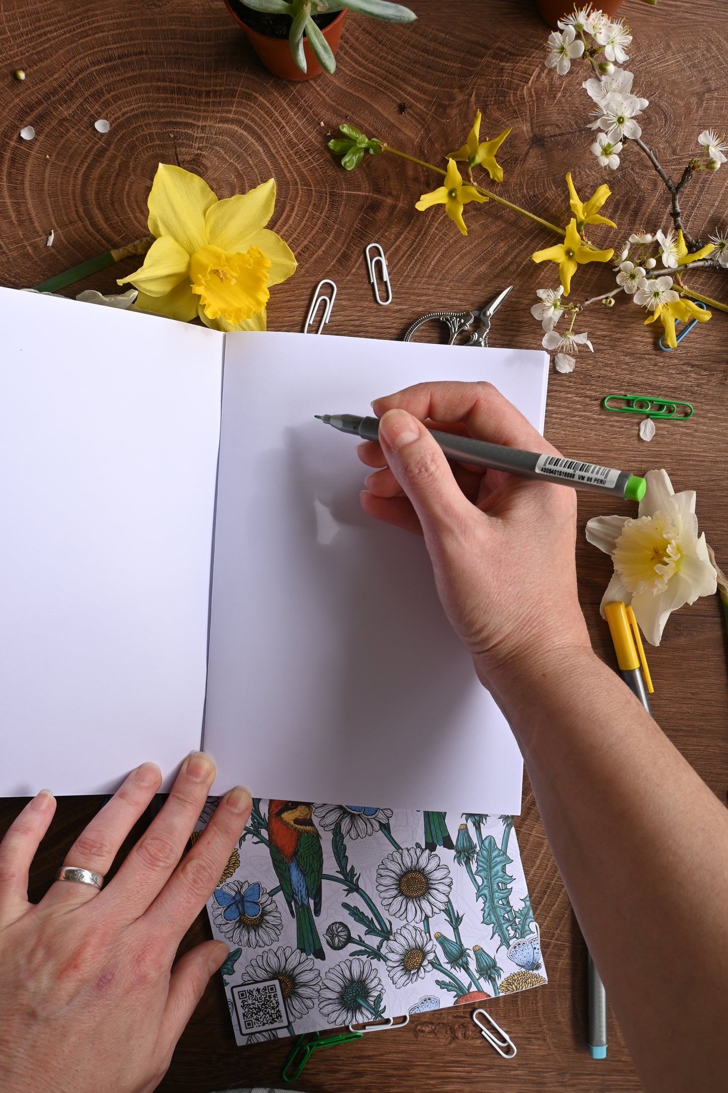 Bee-eaters and wildflowers Notebook