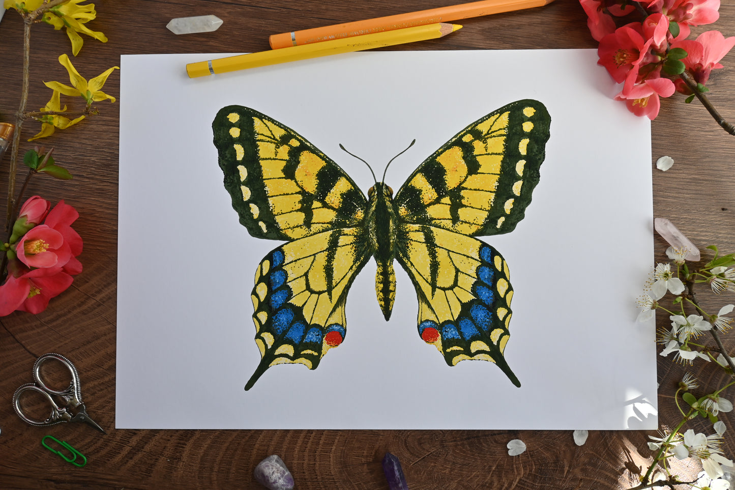 Tiger swallowtail Butterfly Art Print, Photo print, A3+, A3, A4, Giclée Print, Wall art, Nature-Inspired Wall Décor