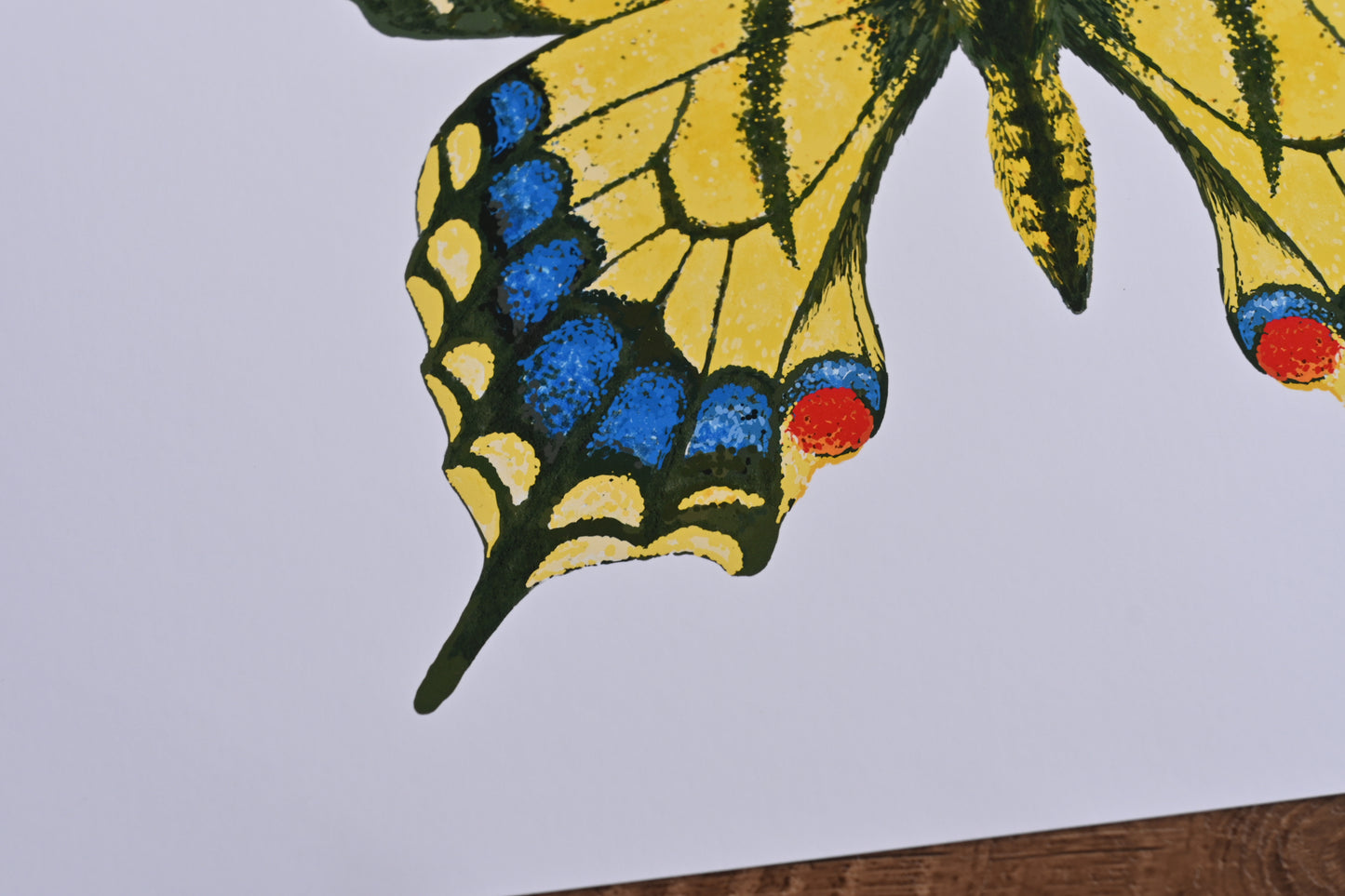 Tiger swallowtail Butterfly Art Print, Photo print, A3+, A3, A4, Giclée Print, Wall art, Nature-Inspired Wall Décor