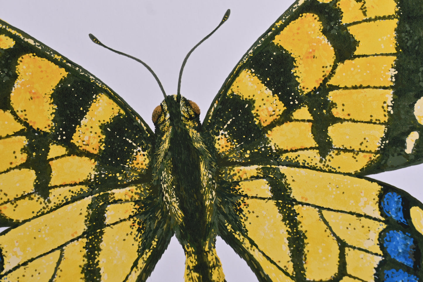 Tiger swallowtail Butterfly Art Print, Photo print, A3+, A3, A4, Giclée Print, Wall art, Nature-Inspired Wall Décor