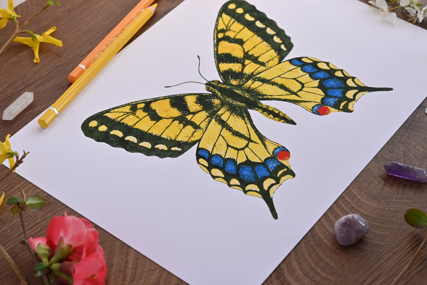 Tiger swallowtail Butterfly Art Print, Photo print, A3+, A3, A4, Giclée Print, Wall art, Nature-Inspired Wall Décor
