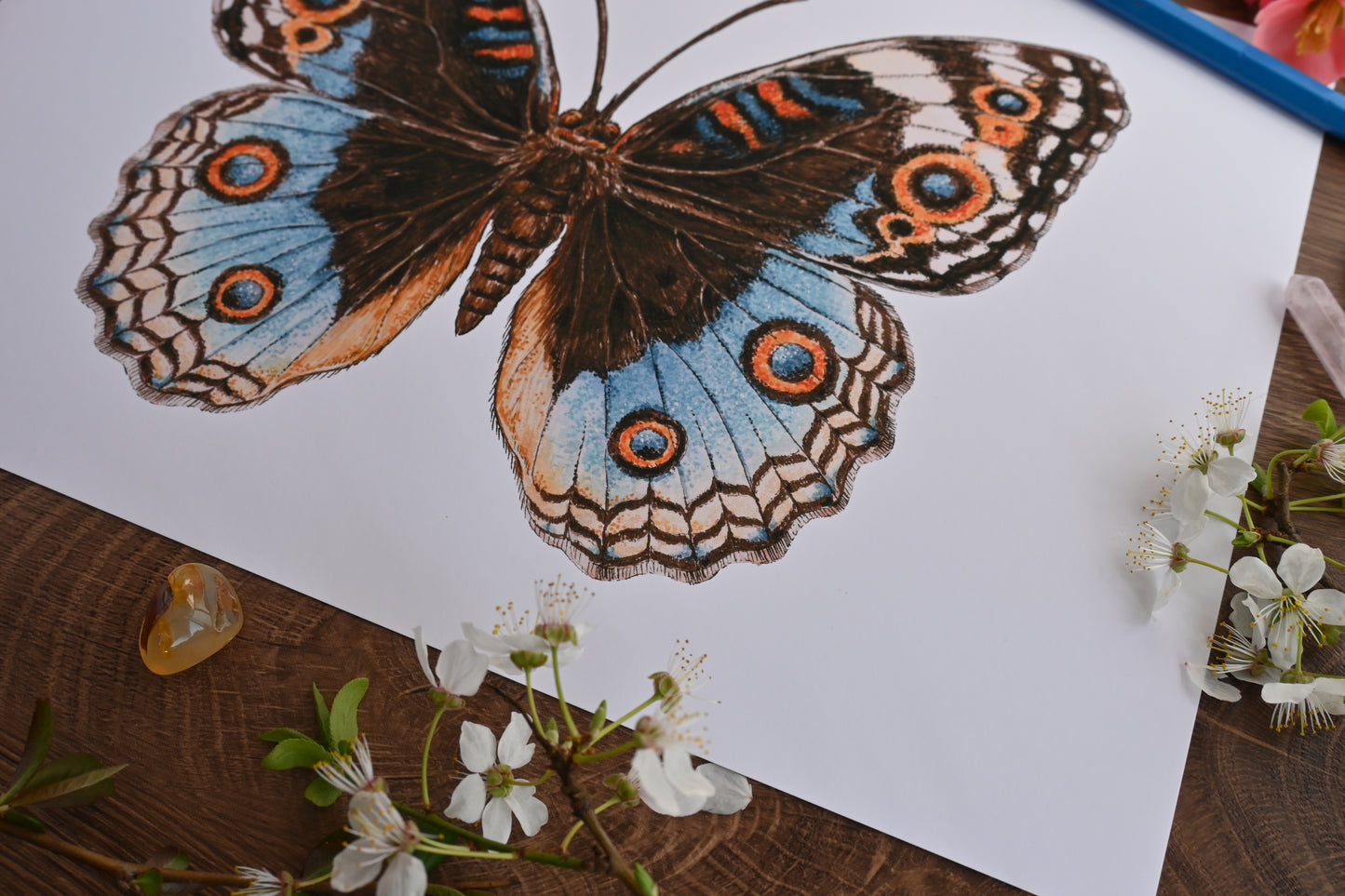 Blue pansy Butterfly watercolor painting inkjet photo print corner photo