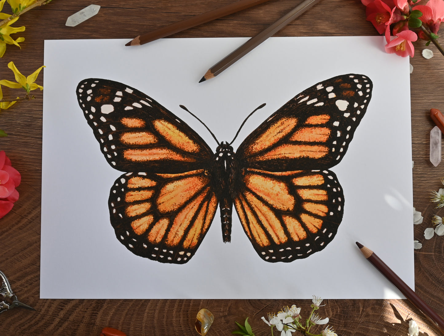 Monarch Butterfly Art Print, Photo print, A3+, A3, A4, Giclée Print, Wall art, Nature-Inspired Wall Décor