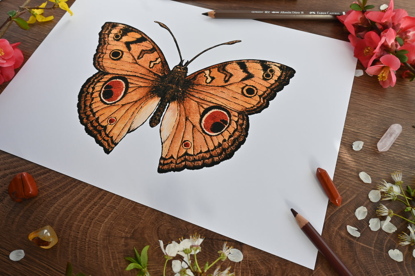 inkjet print of a peacock pansy butterfly watercolor painting
