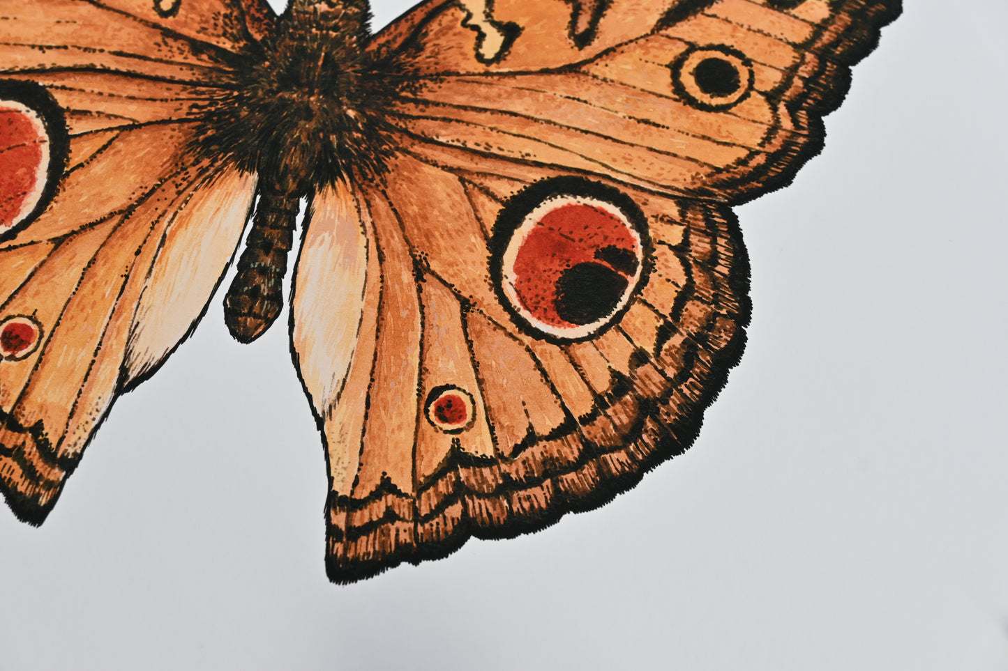 detail photo of inkjet print of a peacock pansy butterfly watercolor painting