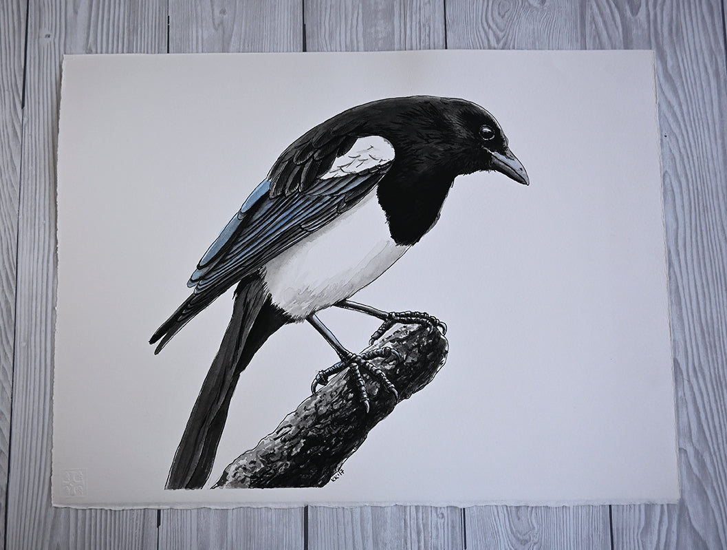 Detailed drawing of a bird perched on a branch on a white sheet of paper.