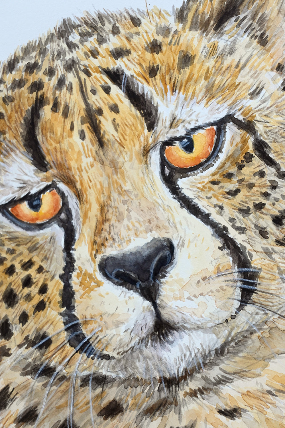 Close-up of a chetah's face with detailed fur and eyes.
