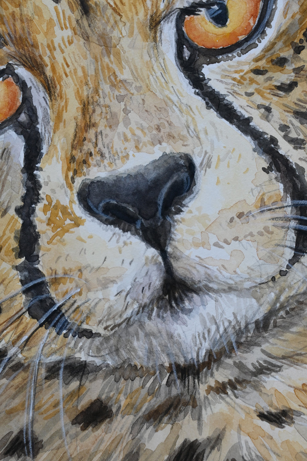 Close-up of a leopard's face with detailed fur and eyes.