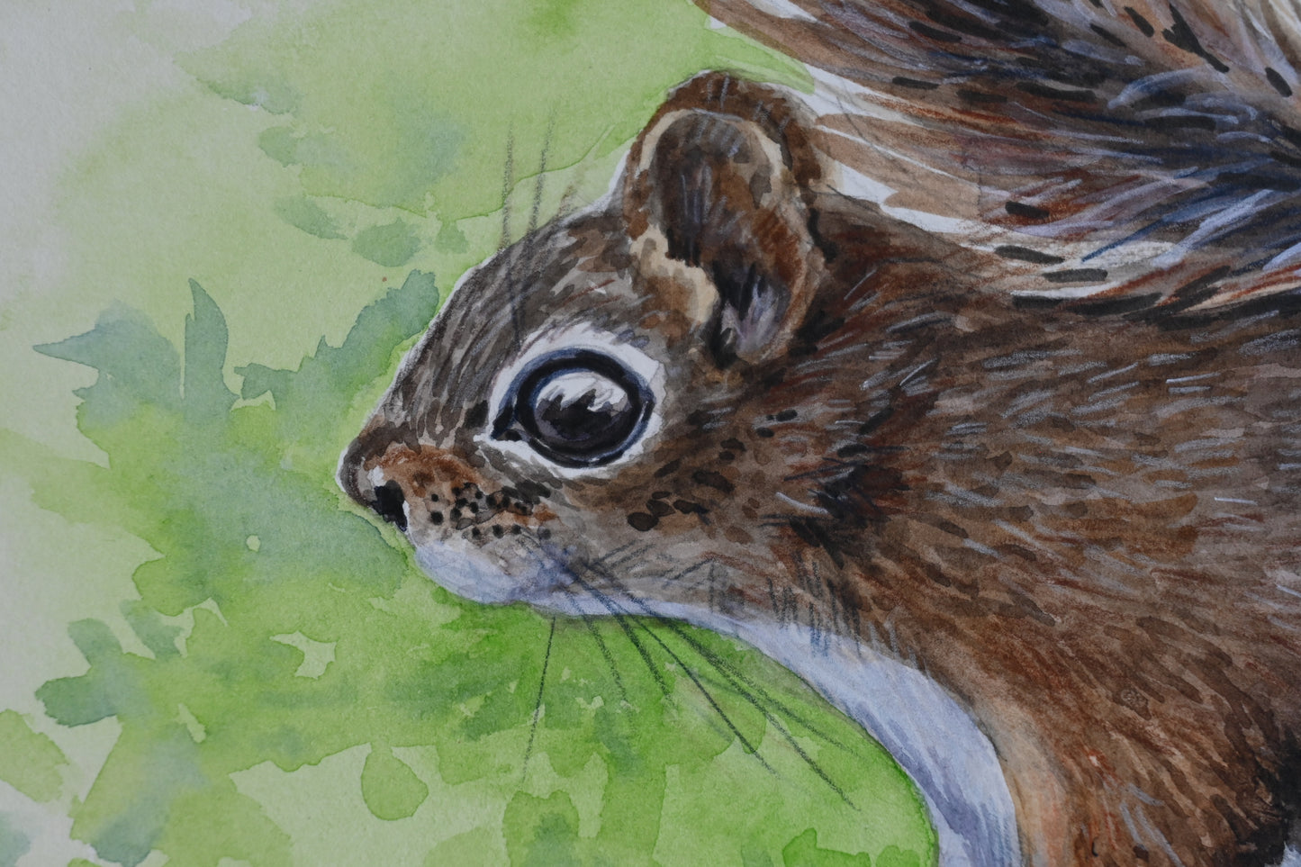 Close-up of a watercolor painting of a squirrel with a green leafy background