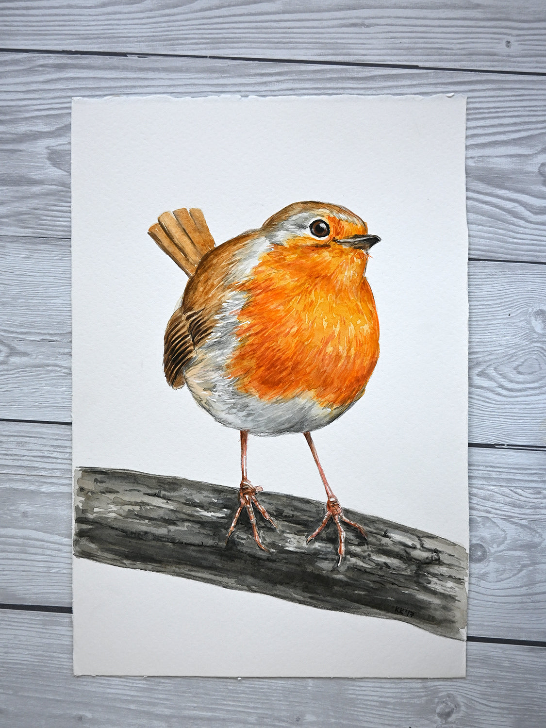 Illustration of a robin on a branch with a wooden background