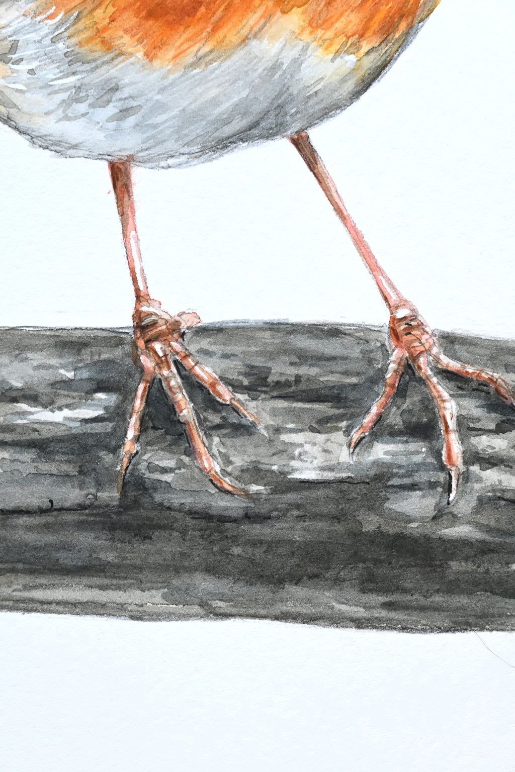 Close-up of a bird's feet on a branch with a watercolor style.