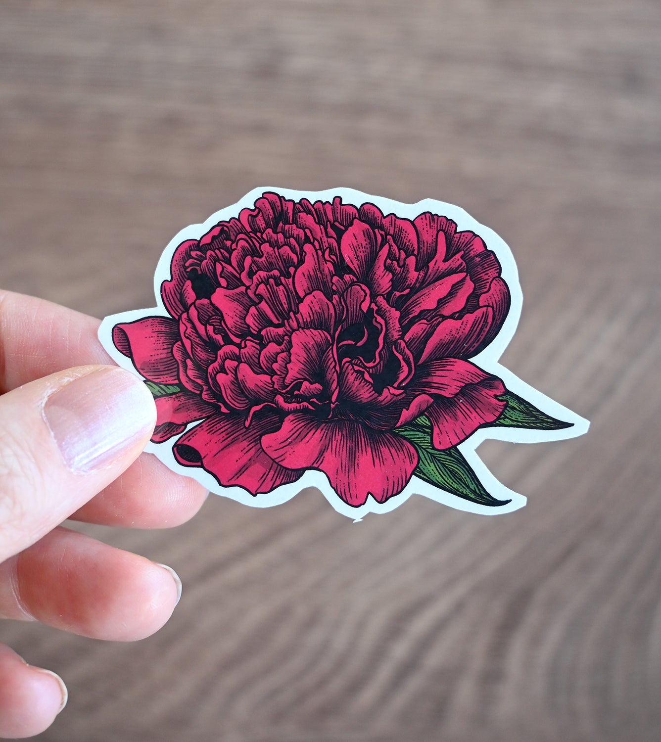 Hand holding a red peony sticker on a wooden surface