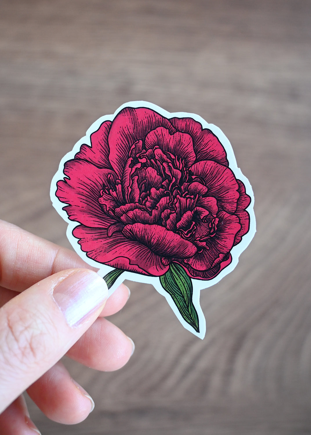 Sticker of a red peony held by a hand on a wooden surface