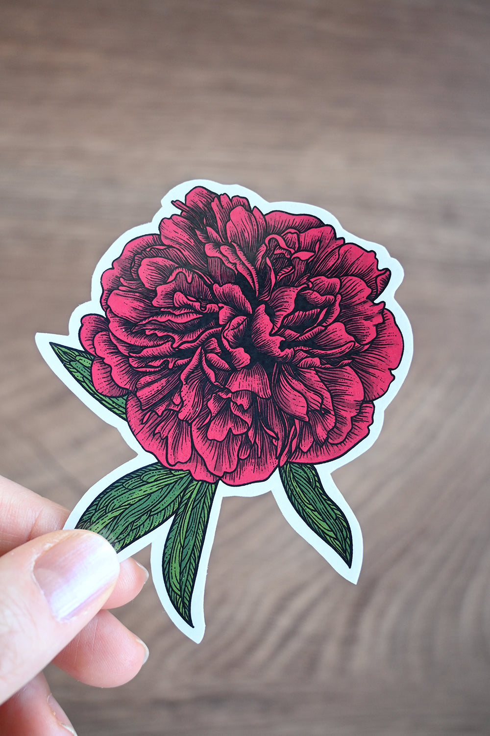 Sticker of a red peony held by a hand on a wooden surface