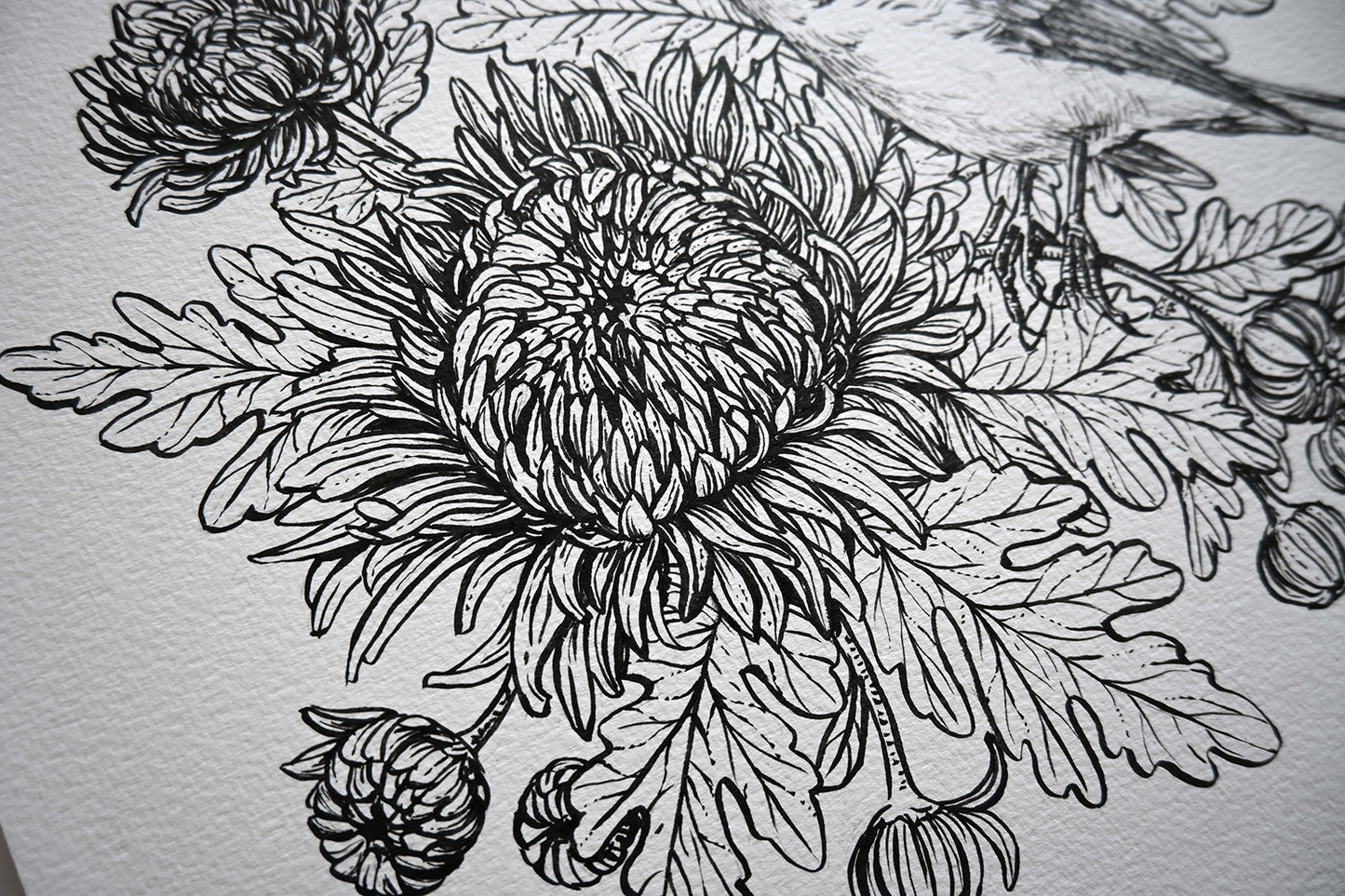 Black line drawing of a floral design on a textured white background