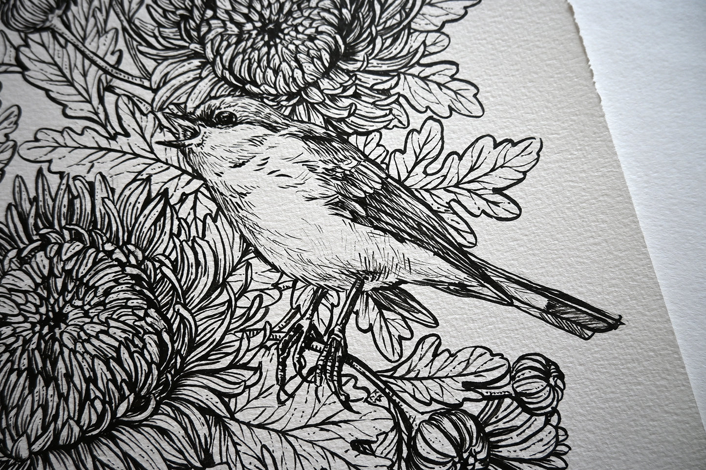close up of a Black and white illustration of a bird on floral branches