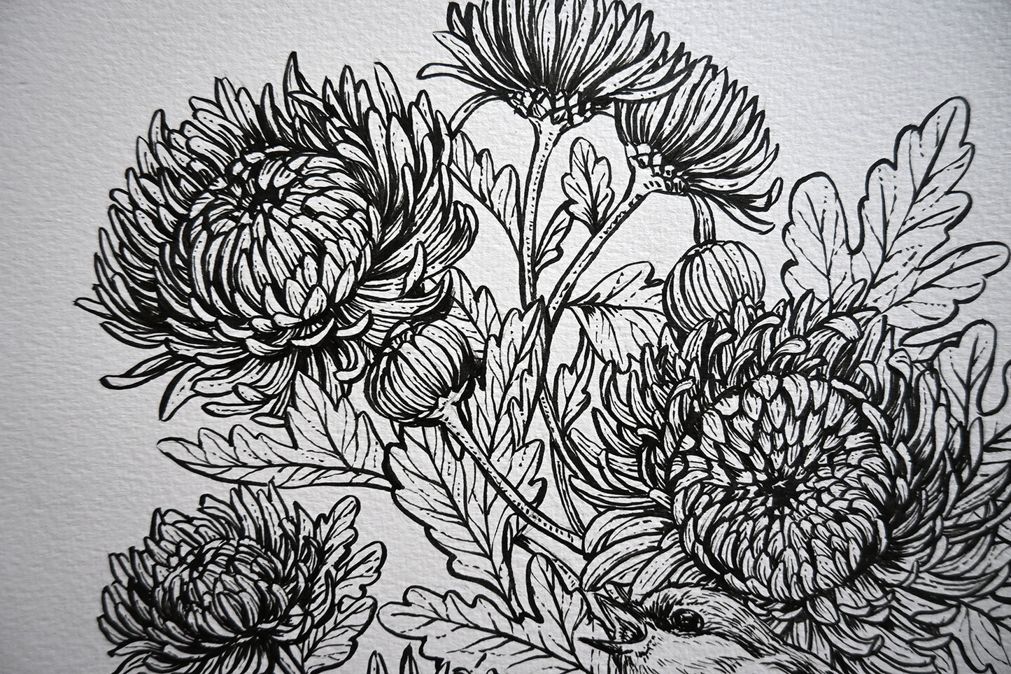 Black and white floral illustration on an white background