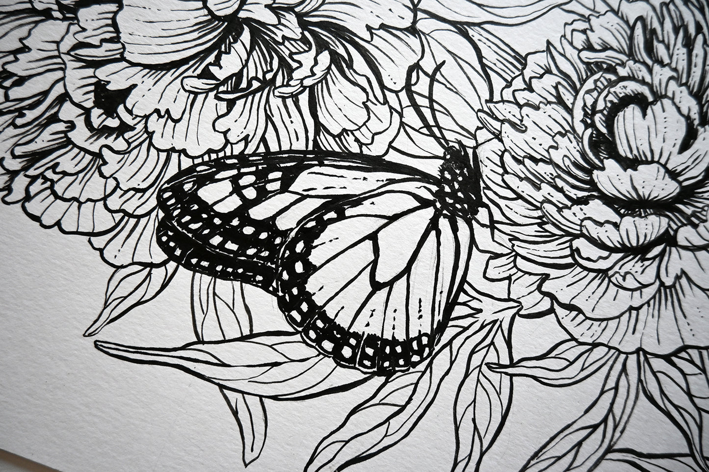 Black and white line drawing of a butterfly on flowers