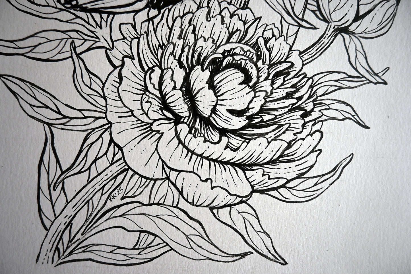 Black line drawing of a floral design on a white background