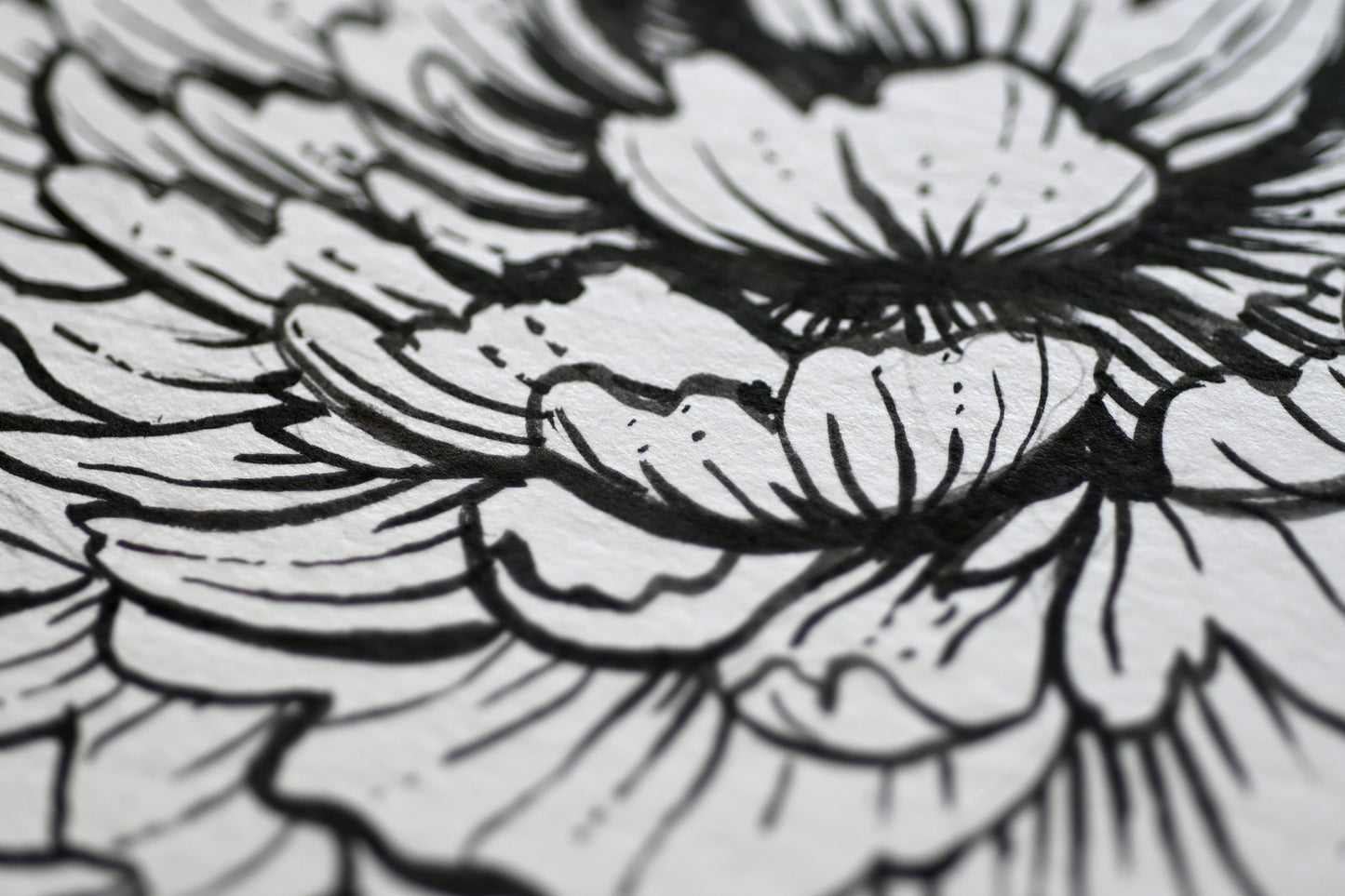 detail of the ink painting "Peonies and monarch butterfly"