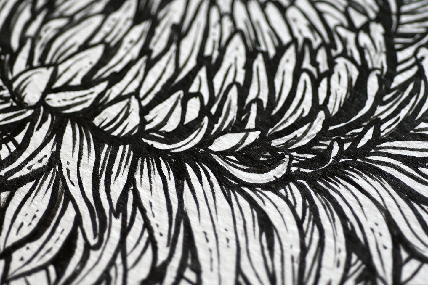 close up of a chrysanthemum flower painted with black ink